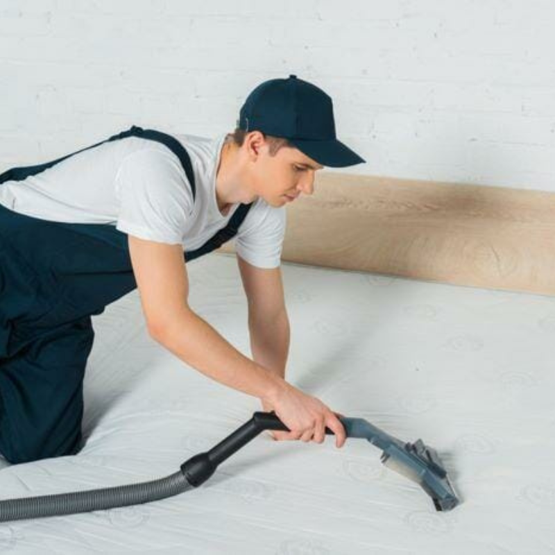 Bed Bug Preparation Racine WI